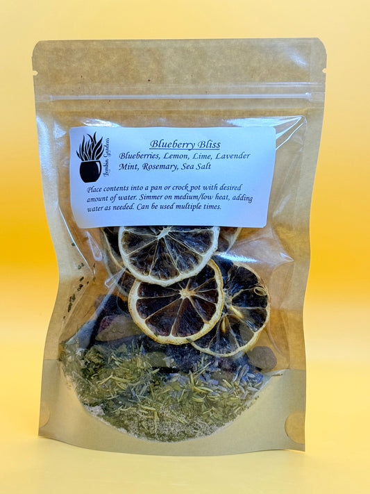 Spring Simmer Pot Kit: Blueberry Bliss